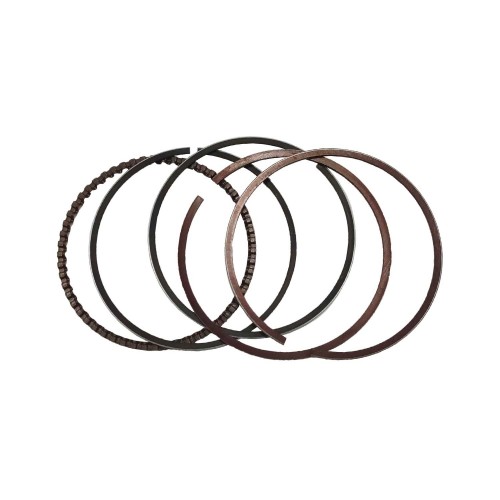 130070019-0001