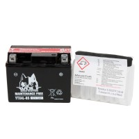 BATTERY - YTX4L-BS