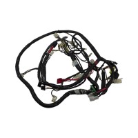Wire Harness for a TGB