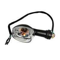 Left Rear Blinker Assembly