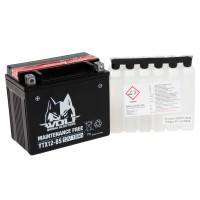 BATTERY - YTX12-BS