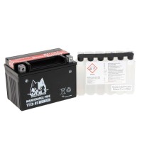 BATTERY - YTX9-BS