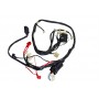 Scooter Wire Harness 50cc | Fits: Jet (50cc)