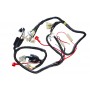 Scooter Wire Harness | Fits:  50cc 4-stroke QMB139 Engines