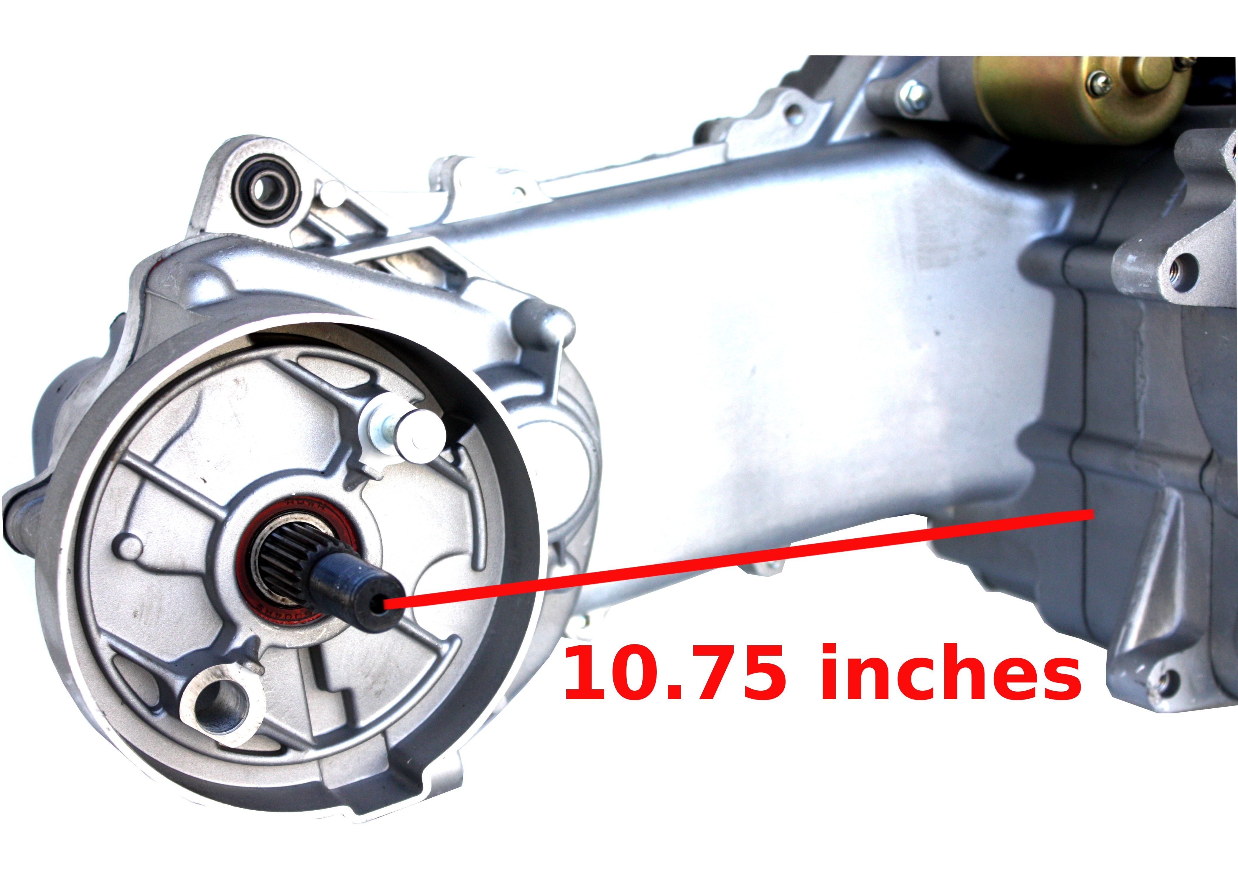 Scooter Engine 50cc Long Case Fits W1/M1, V50/R1, CF50/M2, Blaze